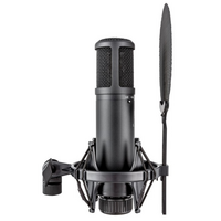 SE2200 Grootmembraan condensator microfoon