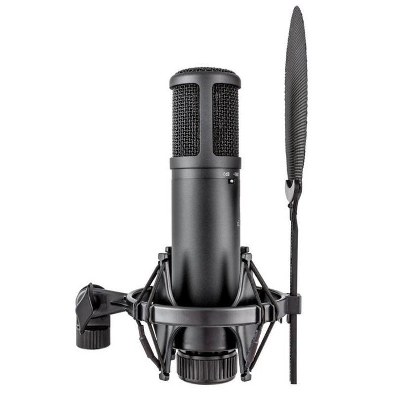 SE2200 Grootmembraan condensator microfoon
