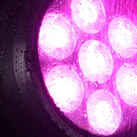 Eurolite LED IP PAR 7x15W RGBL spot LED IP PAR 7x15W RGBL spot