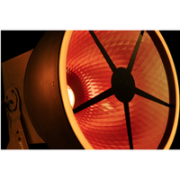 Goliath Lichteffect retro met tungsten-simulatie RGB LED 320W