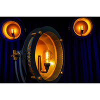Showtec Edison Vintage 1 Lichteffect Retro DMX LED met E27 lamp grijs Edison Vintage 1 Lichteffect Retro DMX LED met E27 lamp grijs