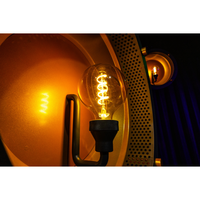 Showtec Edison Vintage 1 Lichteffect Retro DMX LED met E27 lamp grijs Edison Vintage 1 Lichteffect Retro DMX LED met E27 lamp grijs
