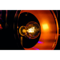Edison Vintage 2 Lichteffect Retro DMX LED met E27 lamp grijs