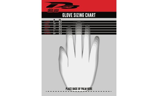 D3 D3 Enzo Ski Glove