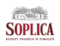 Soplica