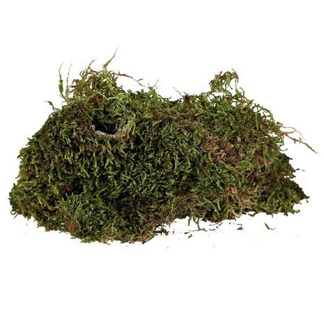 Trixie Terrarium Mos 200 gram Trixie Terrarium Mos 200 gram
