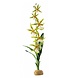 Exo Terra Spinnen Orchidee Exo Terra Spinnen Orchidee