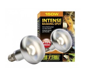 Exo Terra Tightbeam Daglicht Warmtespot