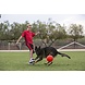 Jolly Pets Honden Voetbal Jolly Pets Honden Voetbal