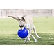 Jolly Pets Honden Voetbal Jolly Pets Honden Voetbal