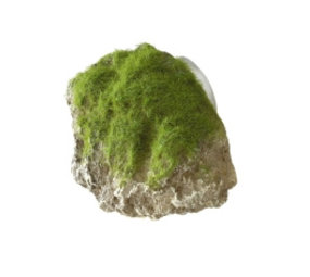 Aqua Della Moss Stone met Zuignap XS Aqua Della Moss Stone met Zuignap XS