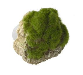 Aqua Della Moss Stone met Zuignap Small Aqua Della Moss Stone met Zuignap Small