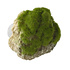 Moss Stone met Zuignap Small Moss Stone met Zuignap Small