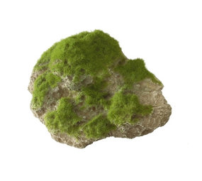 Aqua Della Moss Stone met Zuignap M Aqua Della Moss Stone met Zuignap M