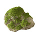 Aqua Della Moss Stone met Zuignap M Aqua Della Moss Stone met Zuignap M
