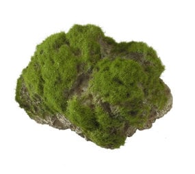 Aqua Della Moss Stone met Zuignap L Aqua Della Moss Stone met Zuignap L