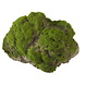 Aqua Della Moss Stone met Zuignap L Aqua Della Moss Stone met Zuignap L