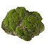 Moss Stone met Zuignap L Moss Stone met Zuignap L