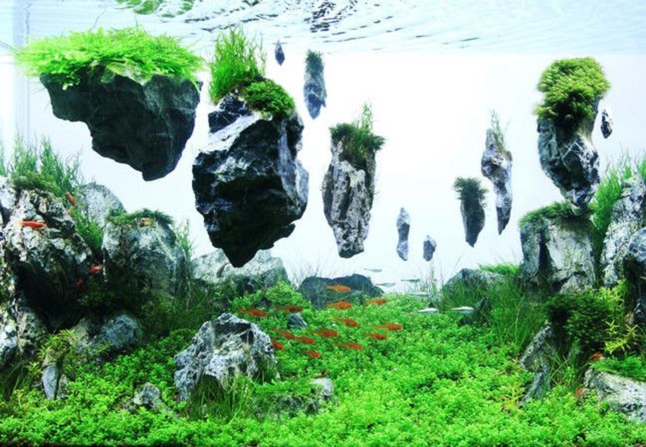 Aqua Della Moss Stone met Zuignap L