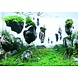 Aqua Della Moss Stone met Zuignap L Aqua Della Moss Stone met Zuignap L