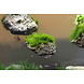 Aqua Della Moss Stone met Zuignap L Aqua Della Moss Stone met Zuignap L