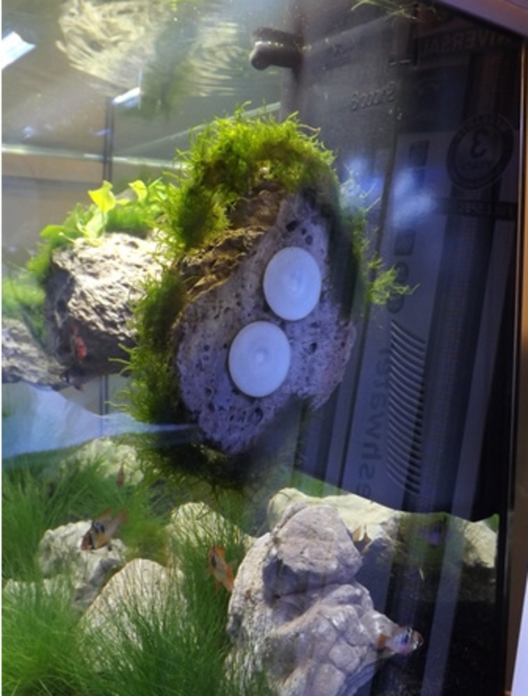 Aqua Della Moss Stone met Zuignap L