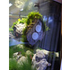 Aqua Della Moss Stone met Zuignap L Aqua Della Moss Stone met Zuignap L