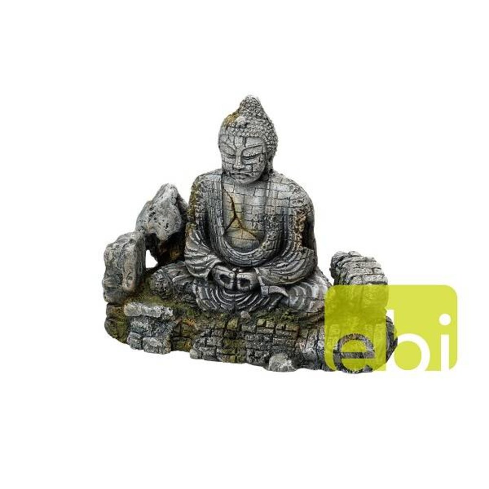 Aqua Della Boeddha L