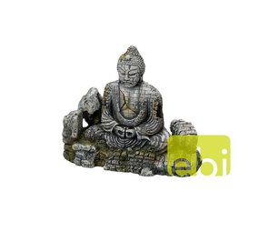 Aqua Della Boeddha L Aqua Della Boeddha L