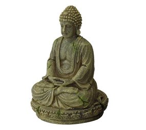 Aqua Della Bayon Boeddha 2 Aqua Della Bayon Boeddha 2