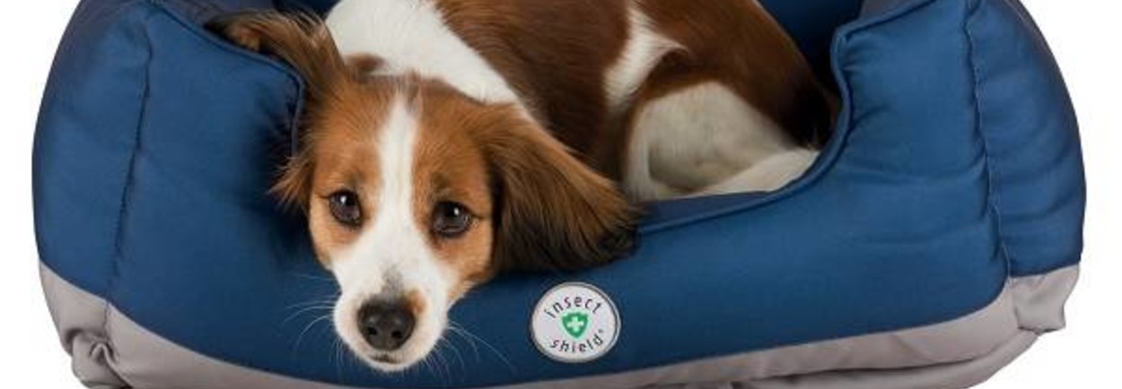 Bescherming voor uw huisdier met Insect Shield Bescherming voor uw huisdier met Insect Shield