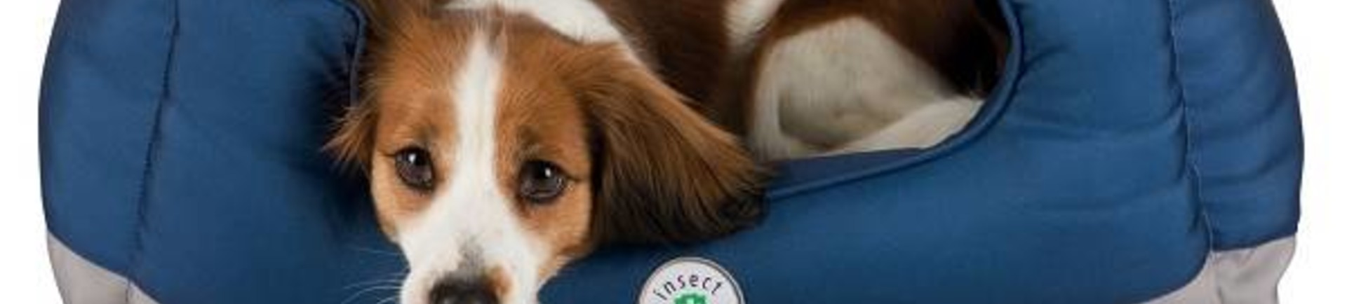 Bescherming voor uw huisdier met Insect Shield