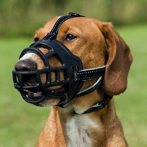 volwassene reflecteren definitief Trixie Muilkorf Hond Muzzle Flex - Pets Gifts
