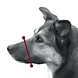 Trixie Muilkorf Hond Polyester Trixie Muilkorf Hond Polyester