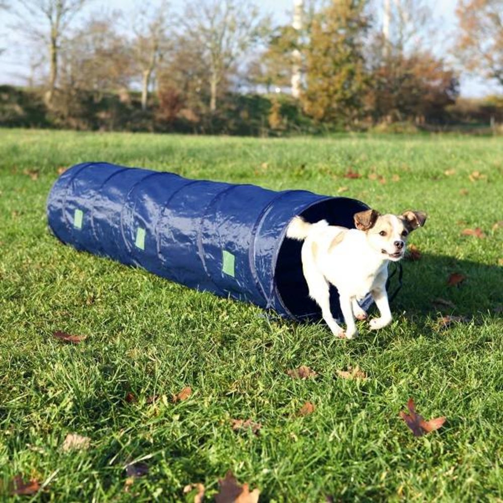 Trixie Agility Tunnel Pup en Kleine Hond