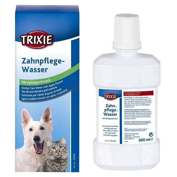 Slechte adem hond verhelpen
