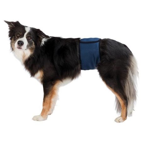 Trixie Plasband voor Reuen