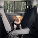 Trixie Auto beschermdeken Trixie Auto beschermdeken