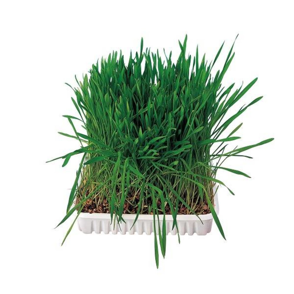 Trixie Knaagdier/Konijnengras