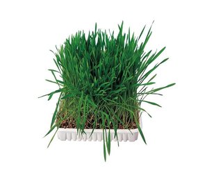 Trixie Knaagdier/Konijnengras Trixie Knaagdier/Konijnengras