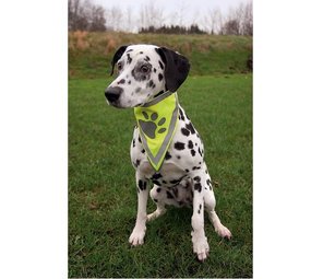 Trixie Veiligheids Halsdoekje Trixie Veiligheids Halsdoekje