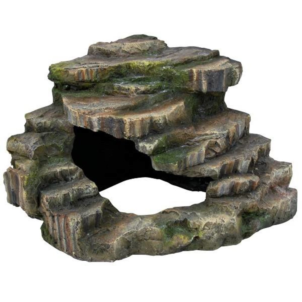 Trixie Terrarium Rots Regenwoud