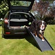 Duvo+ Loopplank Auto tot 50kg Duvo+ Loopplank Auto tot 50kg
