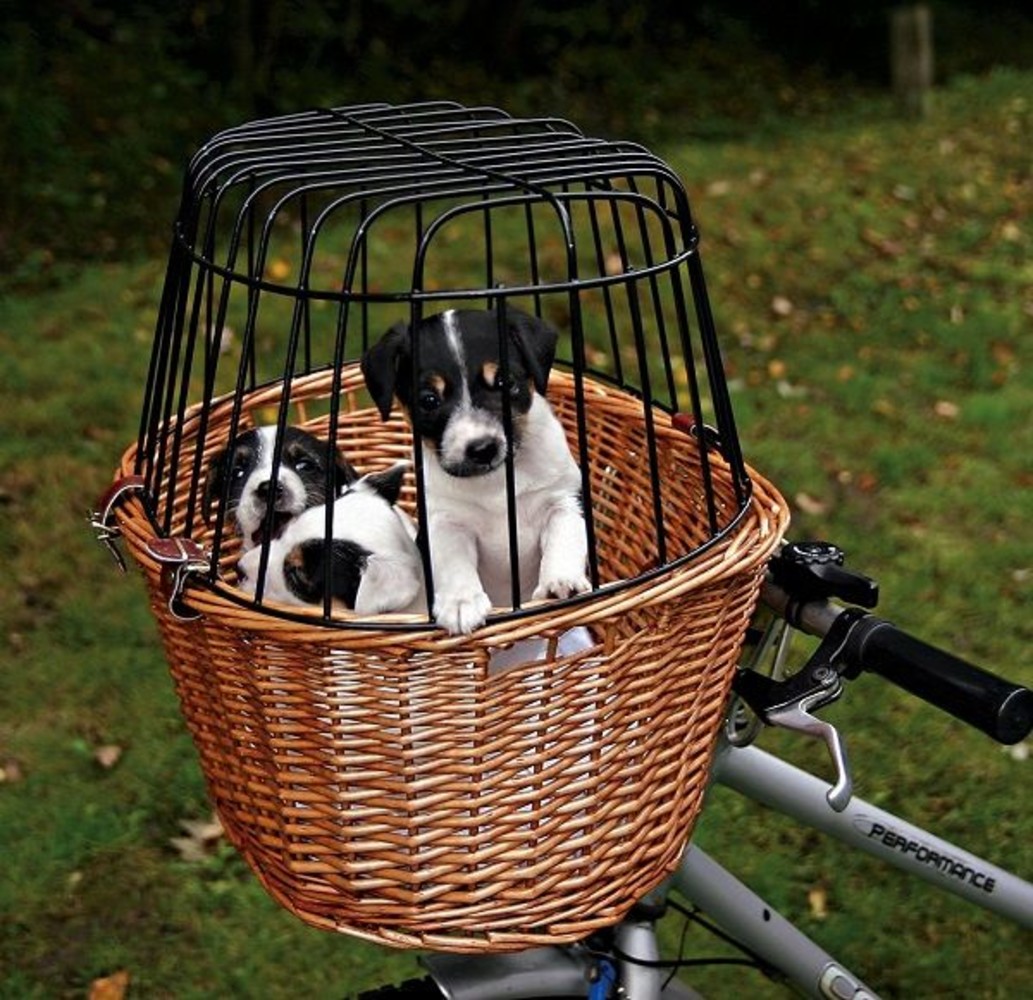 joggen Botsing Ampère Trixie Fietsmand Hond - Pets Gifts