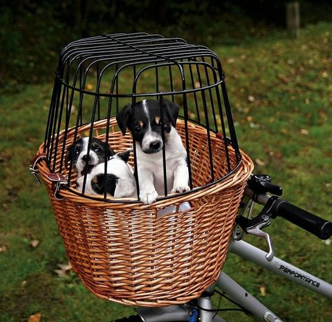 halen Goot Bekijk het internet Trixie Fietsmand Hond - Pets Gifts