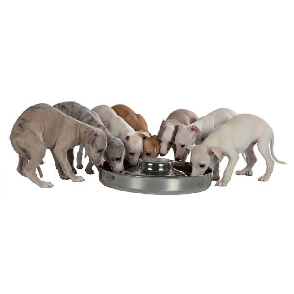 Trixie RVS Puppy Voer-Waterbak