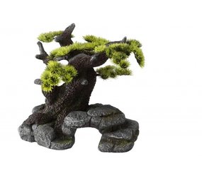 Aqua Della Decor stone Bonsai Aqua Della Decor stone Bonsai