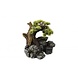Aqua Della Decor stone Bonsai Aqua Della Decor stone Bonsai