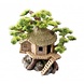 Aqua Della Bonsai huis Aqua Della Bonsai huis