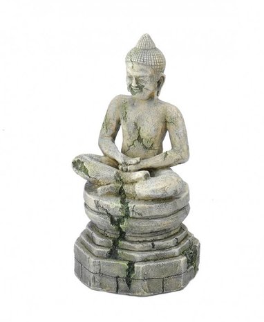 Buddha aquarium deals